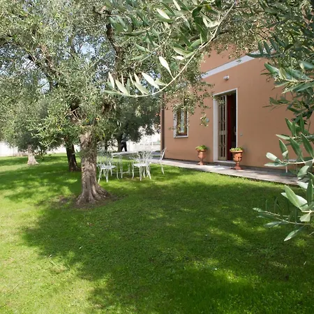 Apartment Nel Giardino Degli Ulivi