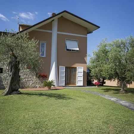 Nel Giardino Degli Ulivi