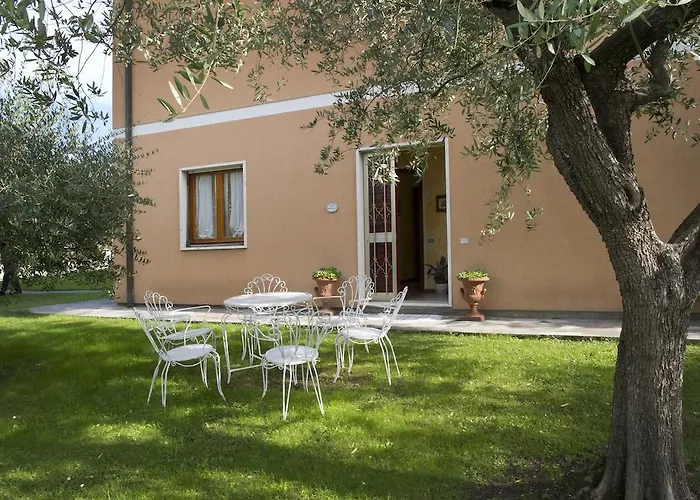 Nel Giardino Degli Ulivi