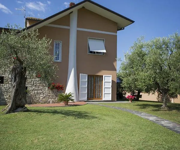 Nel Giardino Degli Ulivi