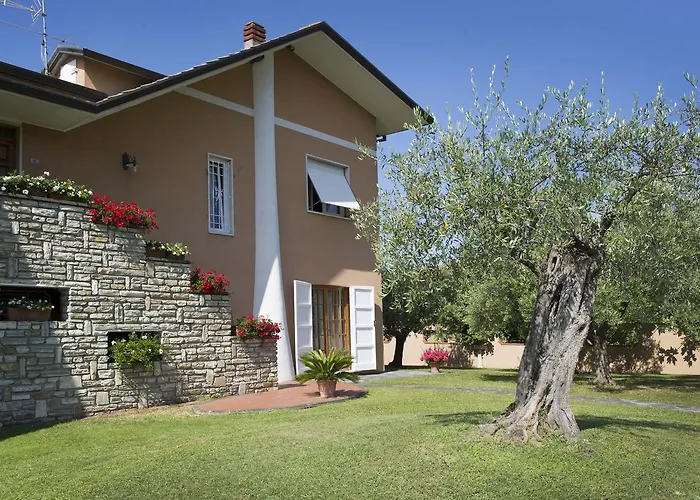 Nel Giardino Degli Ulivi * Castelnuovo Magra