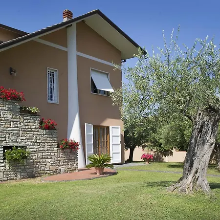 Nel Giardino Degli Ulivi * Castelnuovo Magra